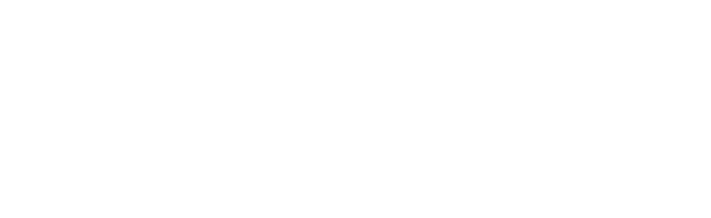 dunlop-sport-w